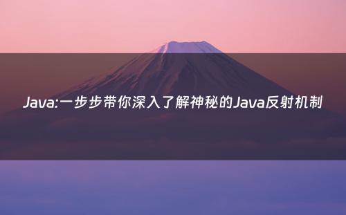 Java:一步步带你深入了解神秘的Java反射机制