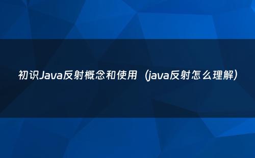 初识Java反射概念和使用（java反射怎么理解）