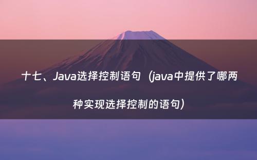 十七、Java选择控制语句（java中提供了哪两种实现选择控制的语句）