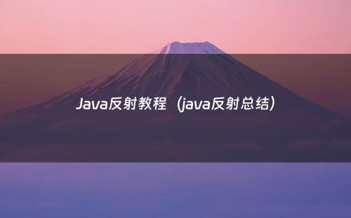Java反射教程（java反射总结）