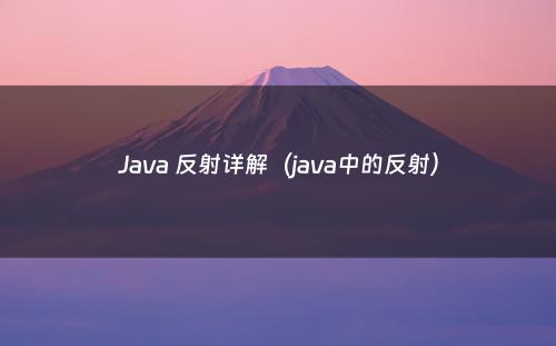 Java 反射详解（java中的反射）