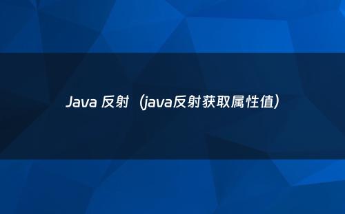 Java 反射（java反射获取属性值）