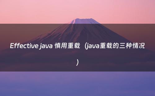 Effective java 慎用重载（java重载的三种情况）
