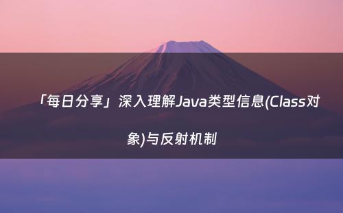 「每日分享」深入理解Java类型信息(Class对象)与反射机制
