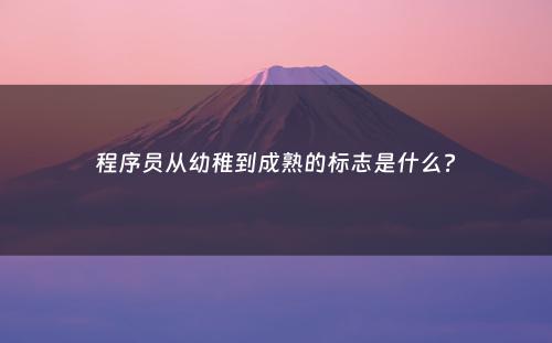 程序员从幼稚到成熟的标志是什么?
