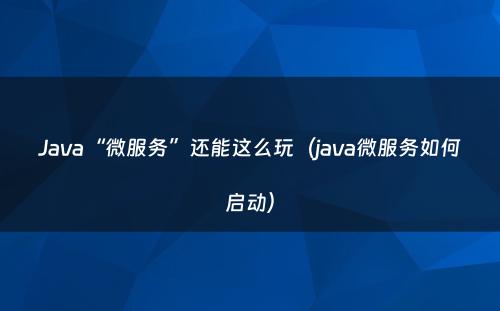 Java“微服务”还能这么玩（java微服务如何启动）
