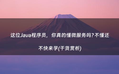 这位Java程序员，你真的懂微服务吗?不懂还不快来学(干货赏析)