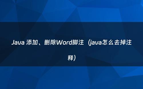 Java 添加、删除Word脚注（java怎么去掉注释）
