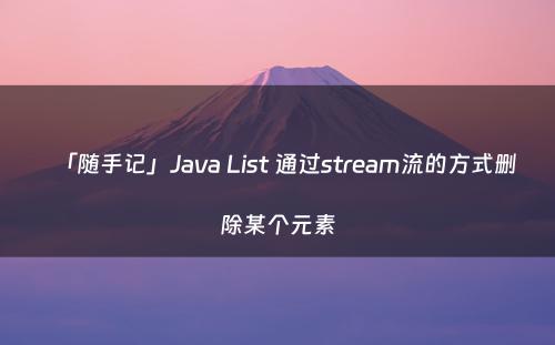 「随手记」Java List 通过stream流的方式删除某个元素