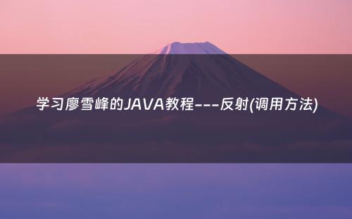 学习廖雪峰的JAVA教程---反射(调用方法)