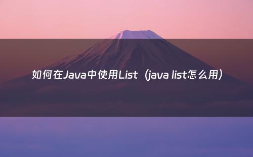 如何在Java中使用List（java list怎么用）