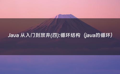 Java 从入门到放弃(四):循环结构（java的循环）