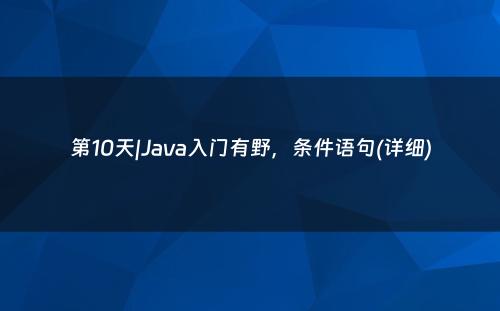 第10天|Java入门有野，条件语句(详细)