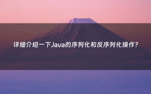 详细介绍一下Java的序列化和反序列化操作?