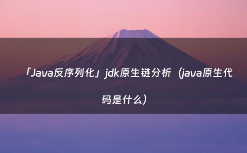 「Java反序列化」jdk原生链分析（java原生代码是什么）