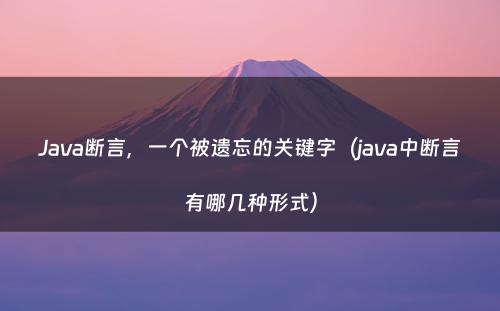 Java断言，一个被遗忘的关键字（java中断言有哪几种形式）