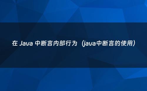 在 Java 中断言内部行为（java中断言的使用）