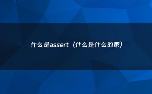 什么是assert（什么是什么的家）