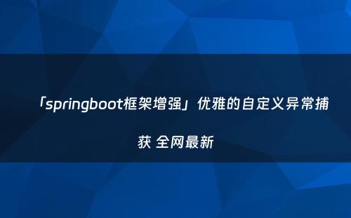 「springboot框架增强」优雅的自定义异常捕获 全网最新