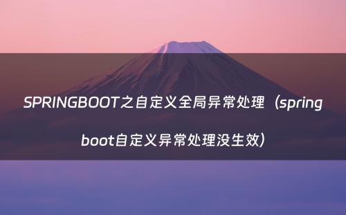 SPRINGBOOT之自定义全局异常处理（springboot自定义异常处理没生效）