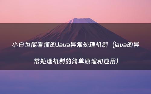 小白也能看懂的Java异常处理机制（java的异常处理机制的简单原理和应用）
