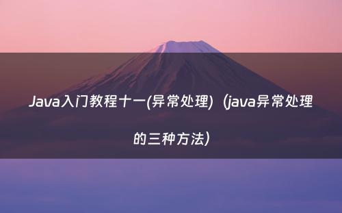 Java入门教程十一(异常处理)（java异常处理的三种方法）