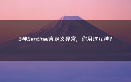 3种Sentinel自定义异常，你用过几种?