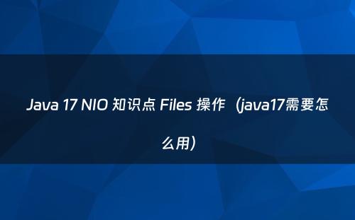 Java 17 NIO 知识点 Files 操作（java17需要怎么用）
