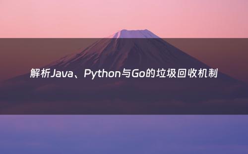 解析Java、Python与Go的垃圾回收机制