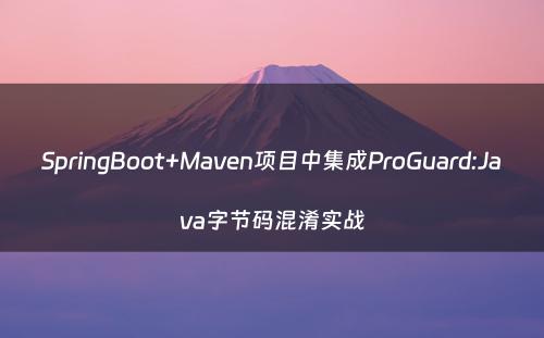 SpringBoot+Maven项目中集成ProGuard:Java字节码混淆实战