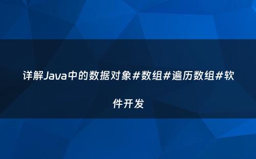 详解Java中的数据对象#数组#遍历数组#软件开发