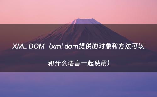 XML DOM（xml dom提供的对象和方法可以和什么语言一起使用）
