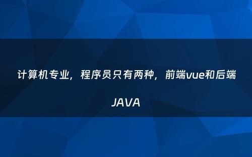 计算机专业，程序员只有两种，前端vue和后端JAVA