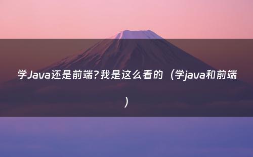 学Java还是前端?我是这么看的（学java和前端）