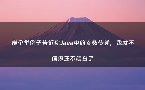 挨个举例子告诉你Java中的参数传递，我就不信你还不明白了