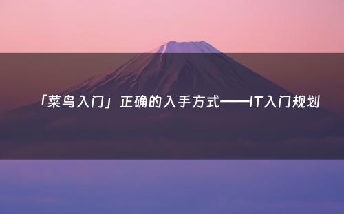 「菜鸟入门」正确的入手方式——IT入门规划