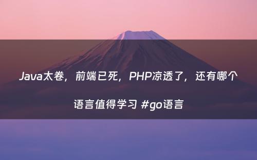 Java太卷，前端已死，PHP凉透了，还有哪个语言值得学习 #go语言