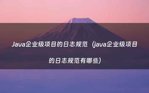 Java企业级项目的日志规范（java企业级项目的日志规范有哪些）