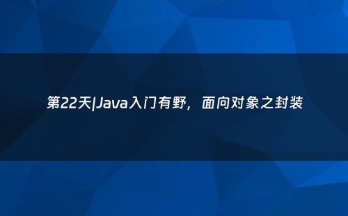 第22天|Java入门有野，面向对象之封装
