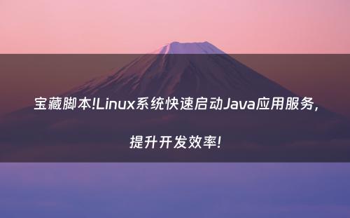 宝藏脚本!Linux系统快速启动Java应用服务，提升开发效率!