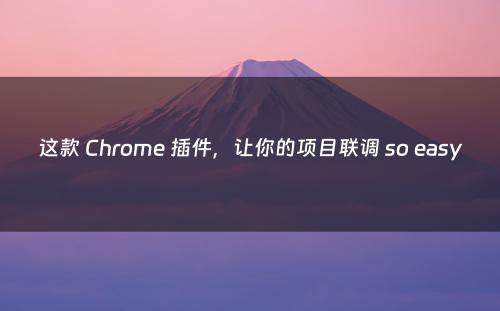 这款 Chrome 插件，让你的项目联调 so easy