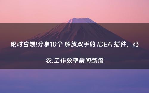 限时白嫖!分享10个 解放双手的 IDEA 插件，码农:工作效率瞬间翻倍