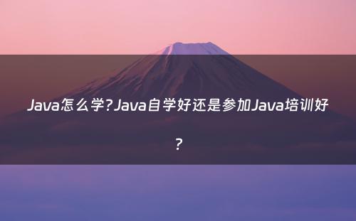 Java怎么学?Java自学好还是参加Java培训好?